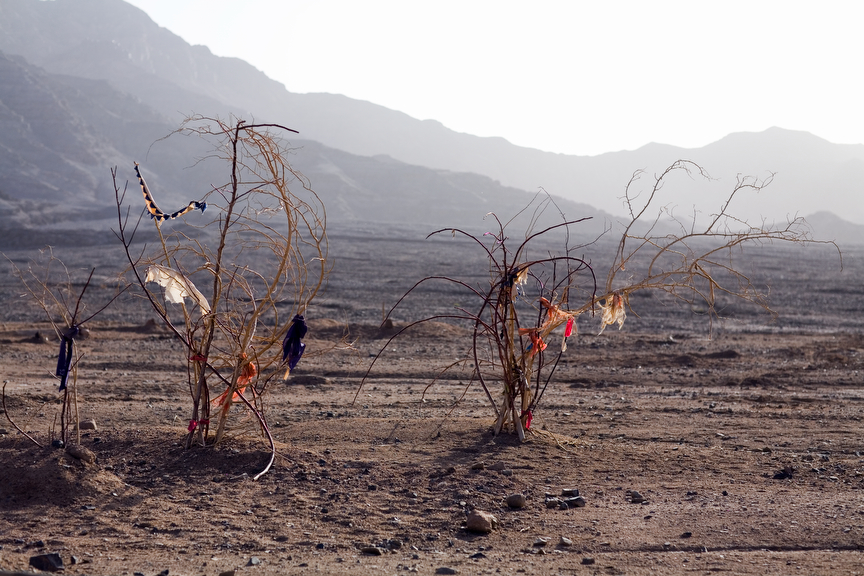 Black Garden (Tandem), 2009